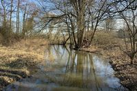 Beständiger Begleiter auf der Wanderung: der Mühlenbach.