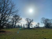 Der Schlosspark wurde im Stil eines englichen Landschaftsgartens angelegt.