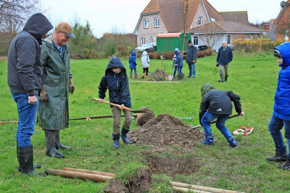Nur mit vereinten Kräften konnte das ausgehobene Loch mit Erde gefüllt werden.