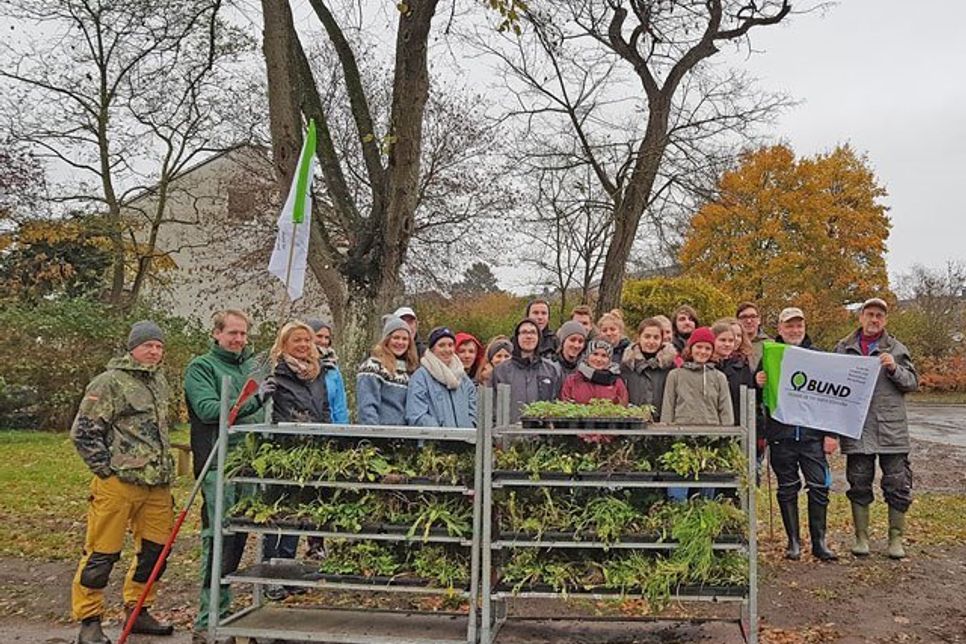 BUND und Voß-Gymnasium pflanzten gemeinsam.