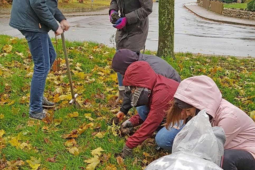 Hier soll es im Frühling blühen.