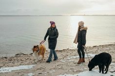 Sunday Morning Dog Walk am Strand in der Lübecker Bucht. (Foto: www.luebecker-bucht-ostsee)
