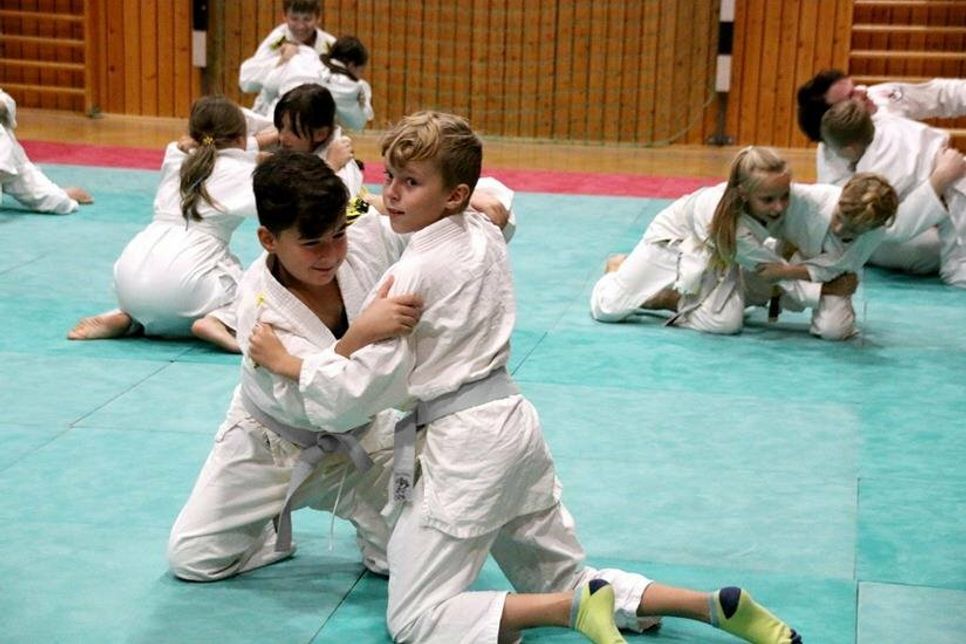 Kinder und Jugendliche lernen grundlegende und fortgeschrittene Brazilian Jiu-Jitsu Techniken.