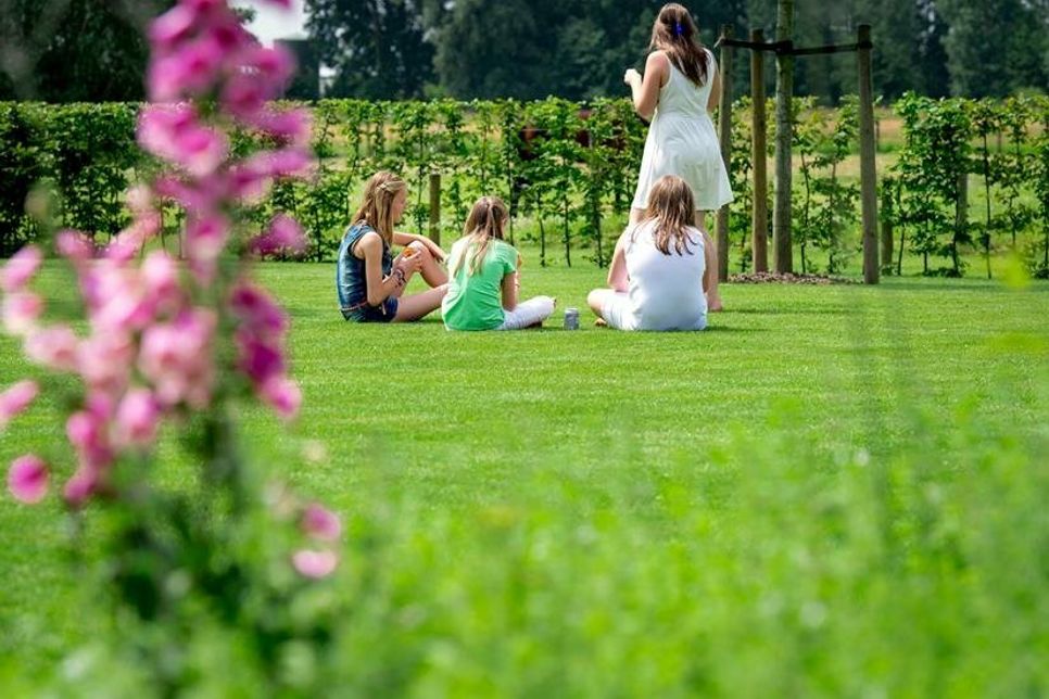 Der Lieblingsplatz zum Relaxen: Damit der Rasen sattgrün und gesund durch den Sommer kommt, benötigt er die richtige Pflege. Foto: DJD/CUXIN DCM
