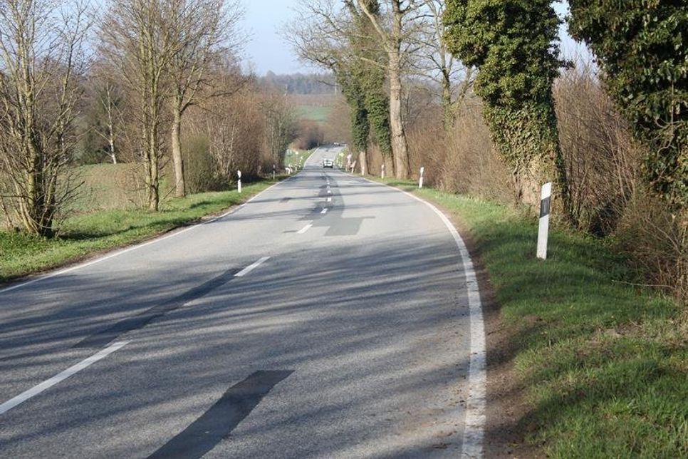 Die L 57 zwischen Schönwalde und Wahrendorf (Archivbild).