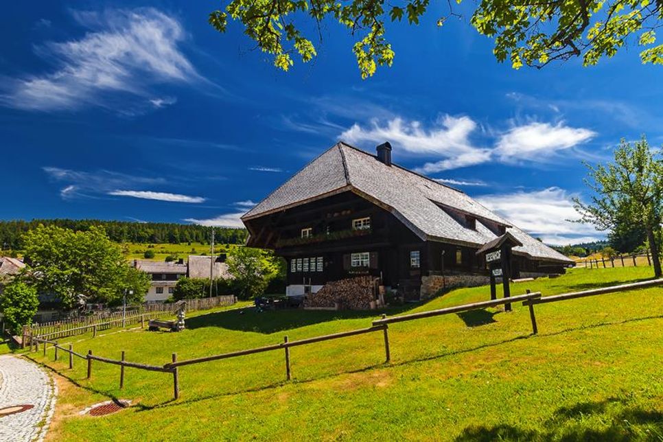 Geboten wird die perfekte Mischung aus Natur, Kultur und kulinarischen Genüssen. (Foto: mojolo – stock.adobe.com)