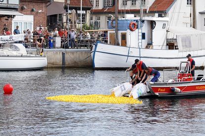 Mit tatkräftiger Unterstützung der Freiwilligen Feuerwehr Neustadt wurden die Enten direkt vom Boot ins Hafenbecken gekippt.