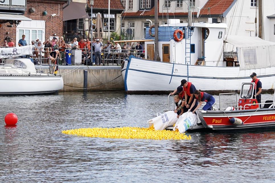 Mit tatkräftiger Unterstützung der Freiwilligen Feuerwehr Neustadt wurden die Enten direkt vom Boot ins Hafenbecken gekippt.