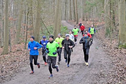 Die Zehnkilometerläufer passierten das ansteigende Gelände im Mühlenwald mit Tempo.