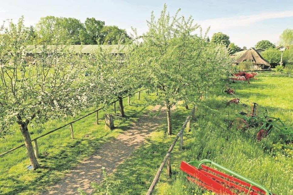 Die Apfelallee bildet den Eintrittsweg zum Museumshof.