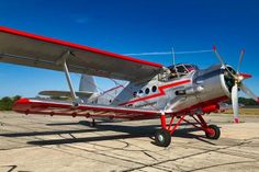 Heimisch ist das Flugzeug in der Nähe von Chemnitz.