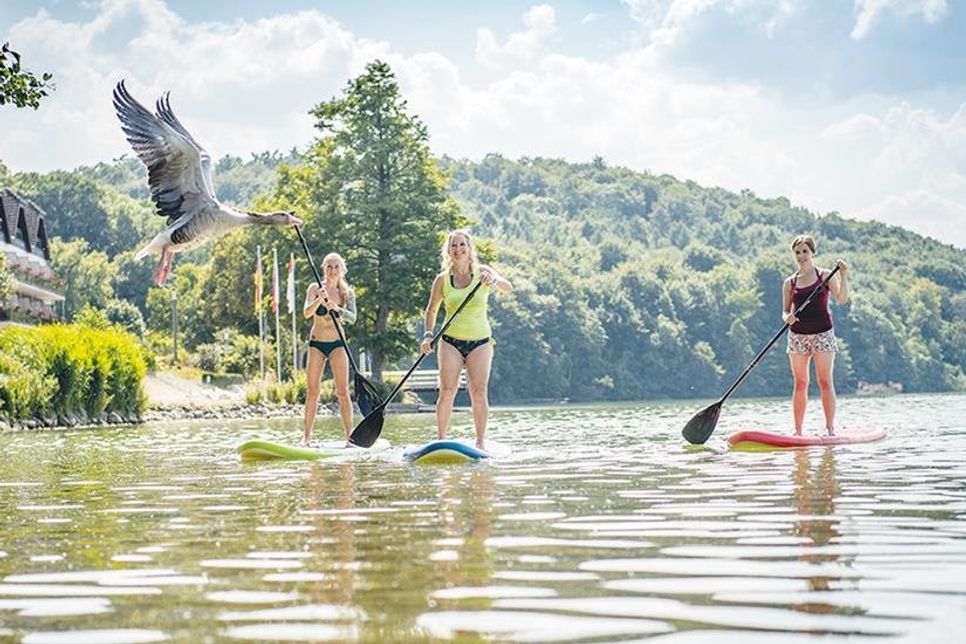 Vor allem für Wassersport eignen sich die Seen der Holsteinischen Schweiz, wie zum Beispiel Stand-Up Paddeln.