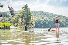 Vor allem für Wassersport eignen sich die Seen der Holsteinischen Schweiz, wie zum Beispiel Stand-Up Paddeln.