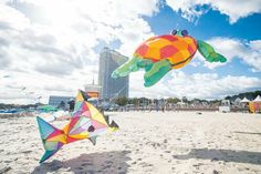 „Vom Winde verweht“: Vom 30. September bis 3. Oktober findet wieder das Herbstdrachenfest in Travemünde statt.