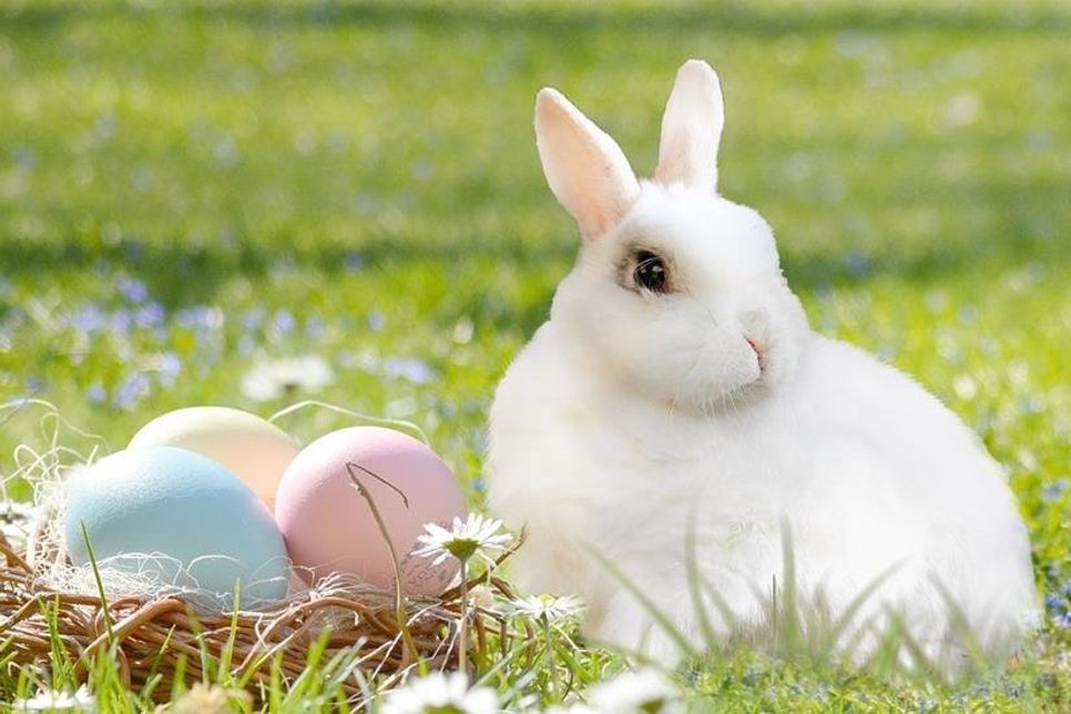 Zwei der wichtigsten Osterbräuche in Deutschland: Der Osterhase bringt die Ostereier.