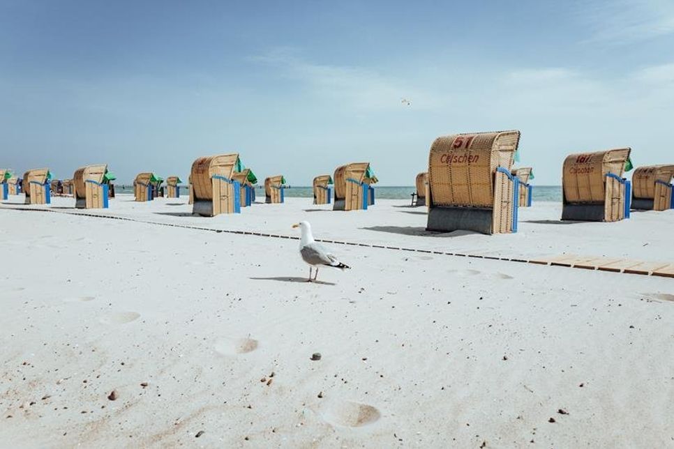 Es ist angerichtet: Die Strandkörbe sind zurück aus ihrem Corona-Schlaf.