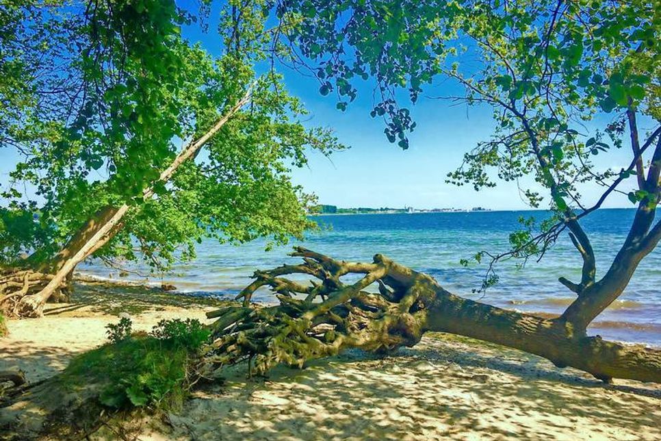 Hier kommt fast ein bisschen Südsee-Feeling auf.