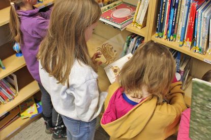 Für jedes Interessensgebiet und jeden Lesestand gibt es in der Schulbücherei ein großes Angebot.