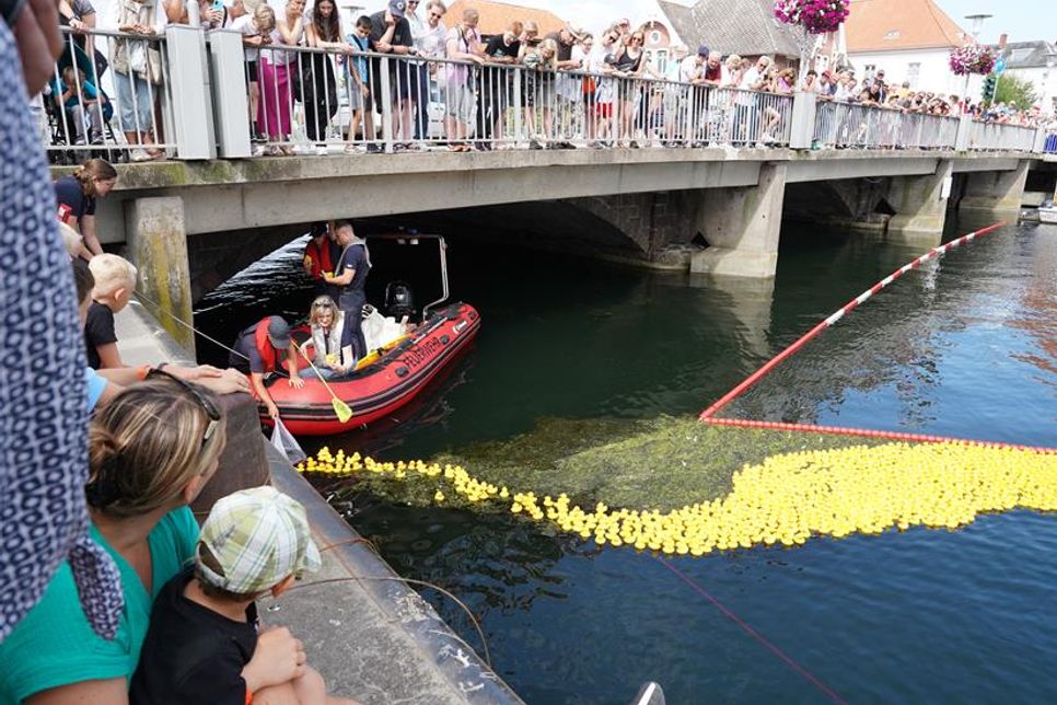 Die Enten wurden unterhalb der Brücke aus dem Wasser gefischt.
