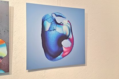 Auch organische Gebilde, die mehr an Malerei als an Fotokunst erinnern, sind entstanden.