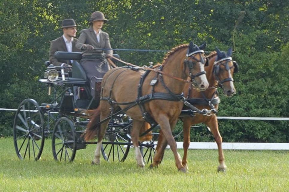 Julika Bauer siegte in der Dressurprüfung der Pony-Zweispänner mit dem Gespann Hazel und Talentino.