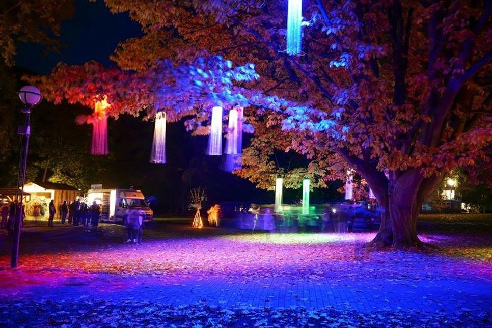Lichtinstallationen erhellen den Beginn der dunklen Jahreszeit und sorgen für magische Momente. Dazu gibt es Livemusik, Heißgetränke und Grillspezialitäten.