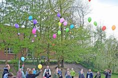 Viele Wünsche wurden, an bunten Luftballons befestigt, zum Abschluss des Schulprojektes auf die Reise geschickt – werden sie auch in Erfüllung gehen?