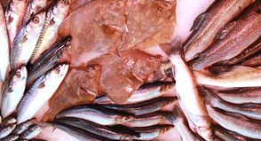 Neustadt. Aufgrund des Feiertages am 1. Mai findet der Wochenmarkt auf dem Neustädter Marktplatz bereits am Donnerstag, dem 30. April statt. Alle, die Lust auf „Frisches“ haben, sind eingeladen, dem Wochenmarkt und den Geschäften der Innenstadt einen Besuch abzustatten. (red)