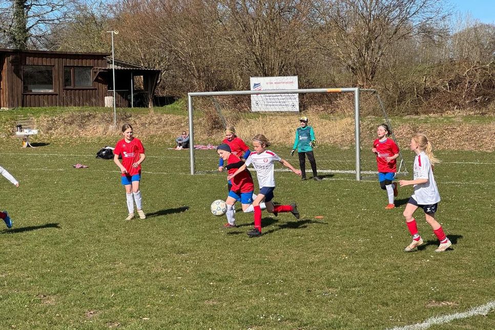 Die neuen Tore sind bereits im Einsatz.