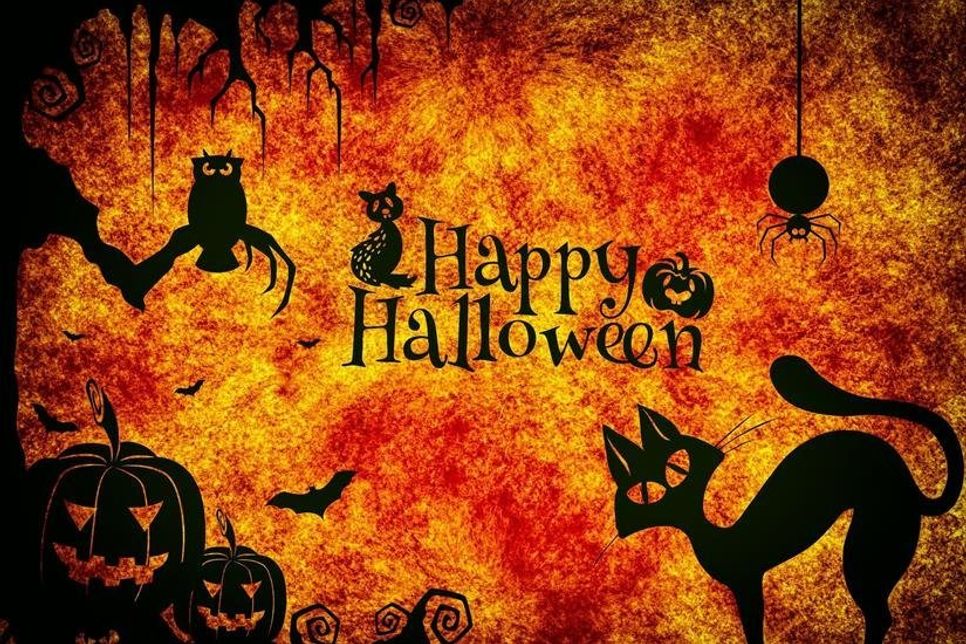 Halloween gerne feiern, aber wenn möglich in den eigenen vier Wänden und unter Beachtung der Regeln.
