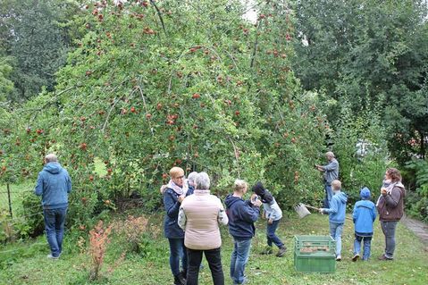 Mit einer gemeinsamen Apfelernte, neben zwei Apfelbäumen steht dort auch ein Kirschbaum, wurde der „Garten der Begegnung“ eröffnet. Das Projekt zielt auf Nachhaltigkeit.