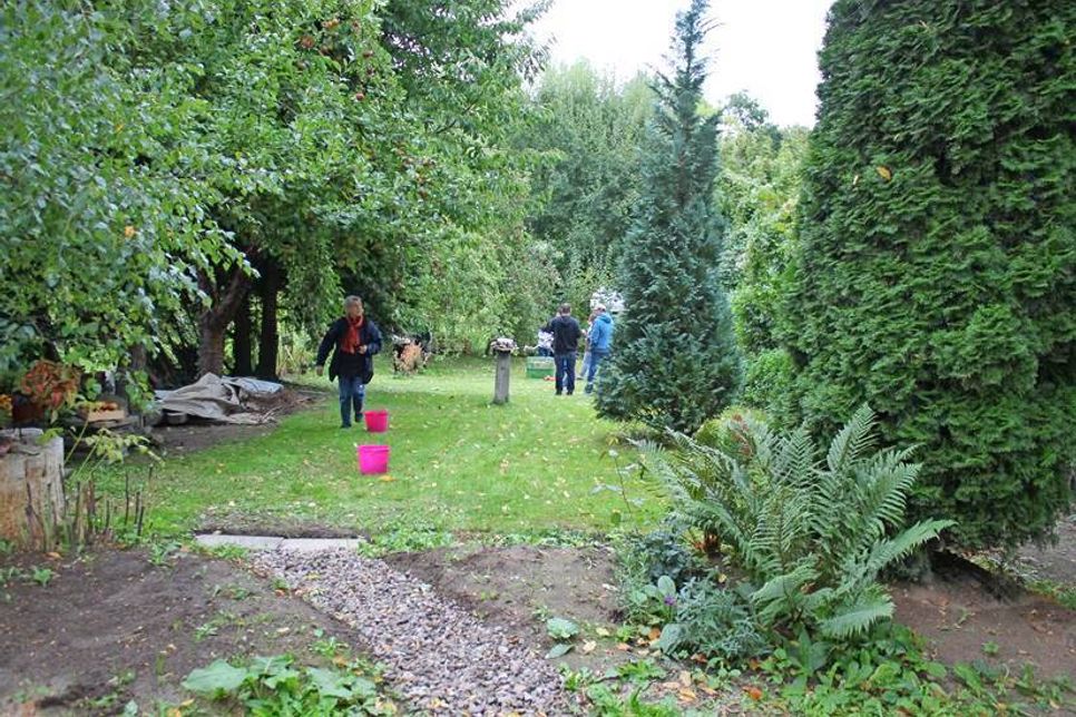 Der „Garten der Begegnung“ ist in der Kleingartenkolonie hinter der Gogenkrog-Halle zu finden.