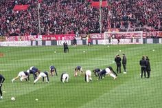 Das Warmmachen hat sich für die Störche gelohnt.