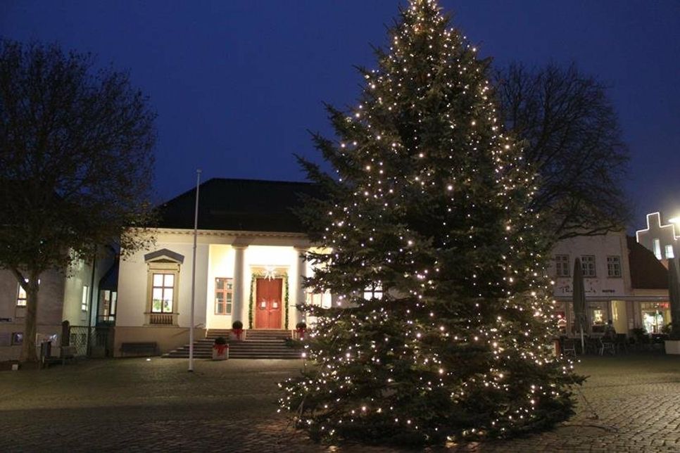 Bald werden Weihnachtsbäume und Winterbeleuchtung wieder für ganz besondere Stimmung sorgen.