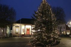 Bald werden Weihnachtsbäume und Winterbeleuchtung wieder für ganz besondere Stimmung sorgen.