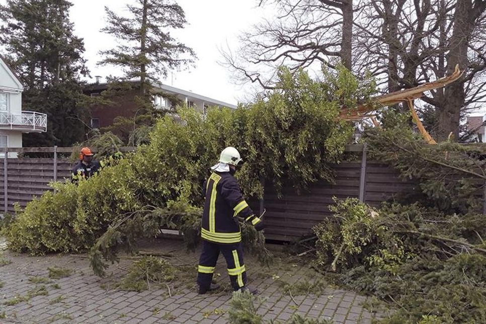 In Timmendorfer Strand stürzte zwischen der Strandallee und Poststraße unter anderem ein Baum auf ein Grundstück . (Foto: René Kleinschmidt)