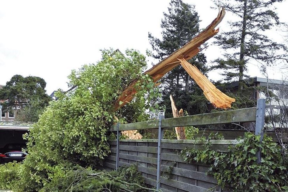 In Timmendorfer Strand stürzte zwischen der Strandallee und Poststraße unter anderem ein Baum auf ein Grundstück. (Foto: René Kleinschmidt)