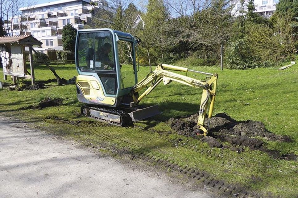 Schon zwei Tage später machte sich  Gartenbau-Experte Hinrich Krohn an die Arbeit. (Fotos: Umweltbeirat/hfr)