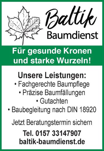 Baumschnitt