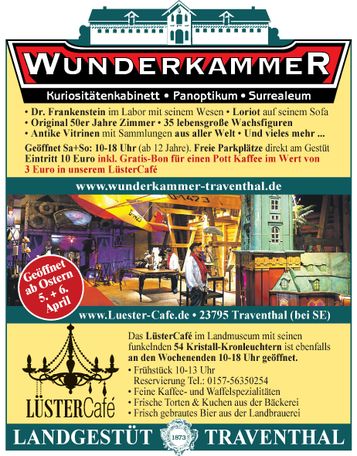 Wunderkammer / Lüstercafé