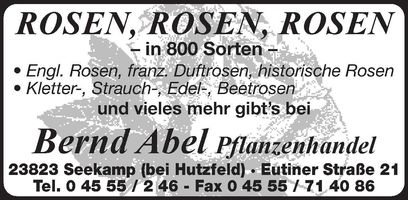 Rosen Rosen Rosen