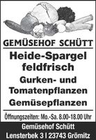Spargel