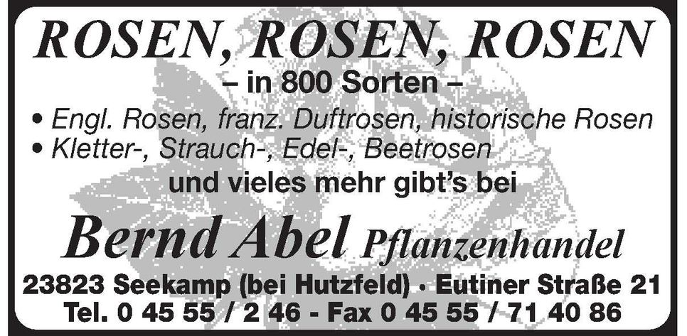Rosen Rosen Rosen