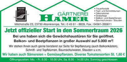 Start in den Sommertraum