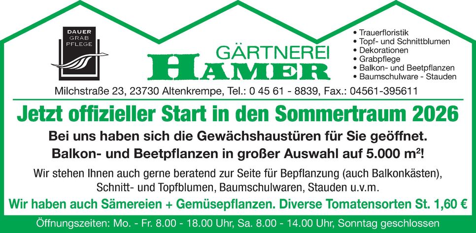 Start in den Sommertraum