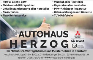 Auto Frühling