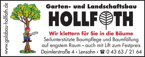 Wir klettern für Sie in die Bäume
