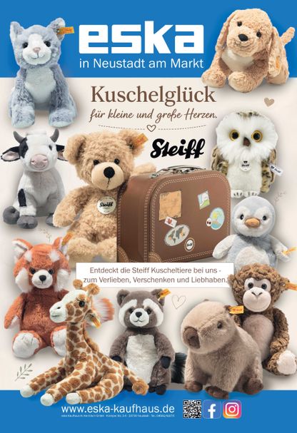 Rückseite  
