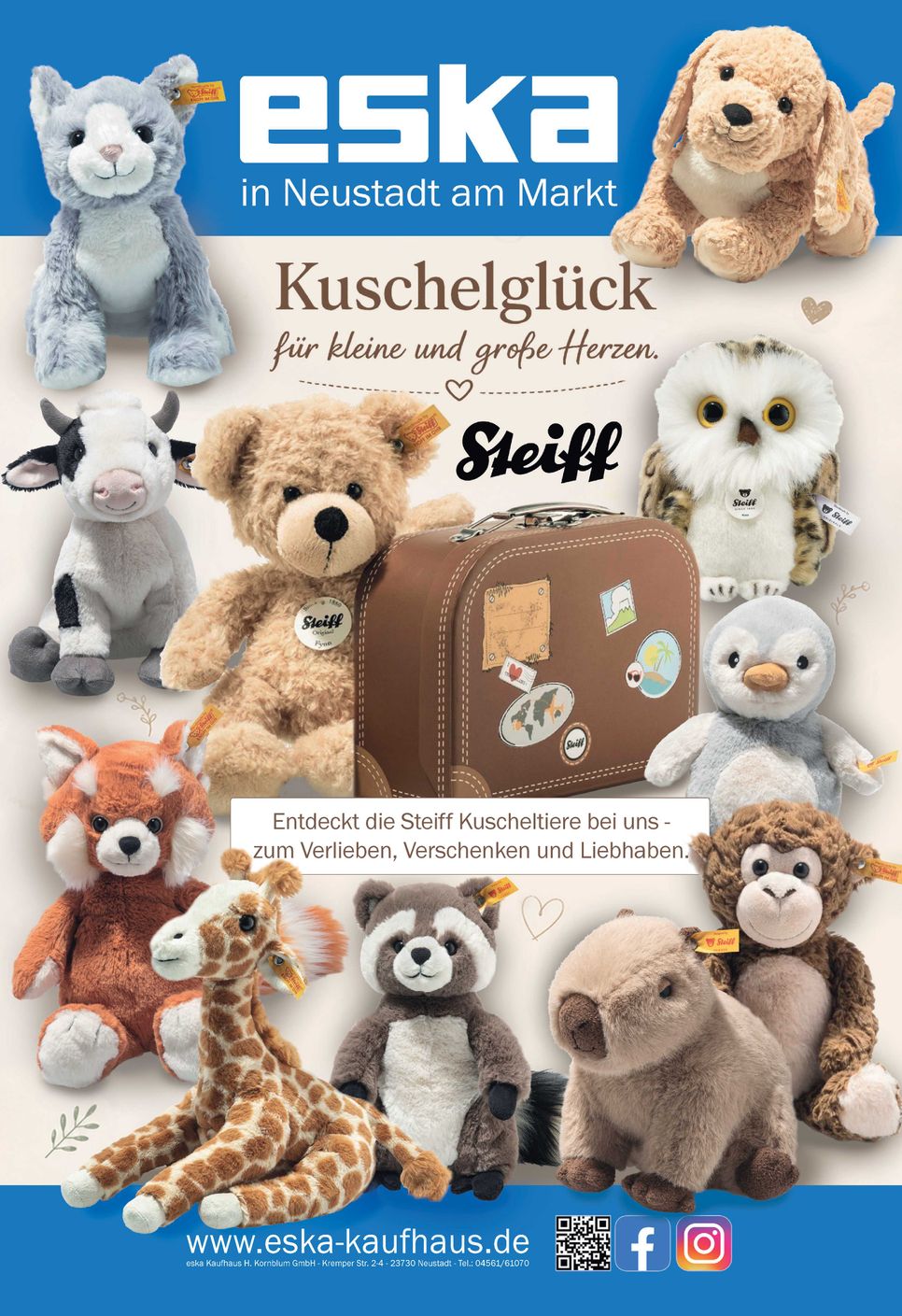 Rückseite  