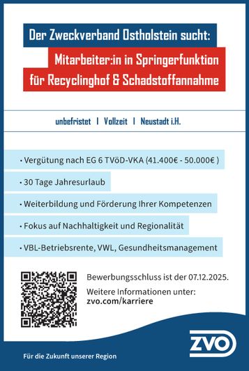 Mitarbeiter:in in Springerfunktion